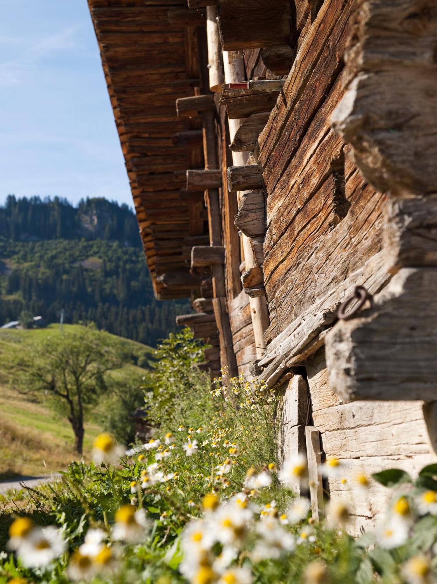 Mgm Hotels & Residences - Residence Le Roc Des Tours Le Grand-Bornand Esterno foto